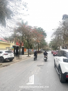 Bán đất mặt đường Nguyễn Tất Tố, Kênh Dương, Lê Chân, Hải Phòng.