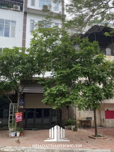 Cho thuê nhà mặt đường số 316 Nguyễn Công Hòa, Lê Chân, Hải Phòng